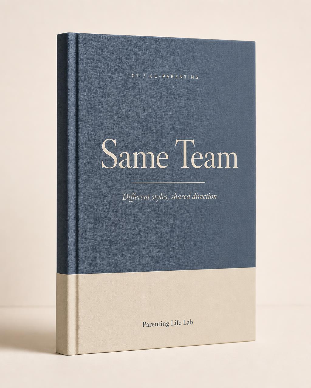 Same Team workbook